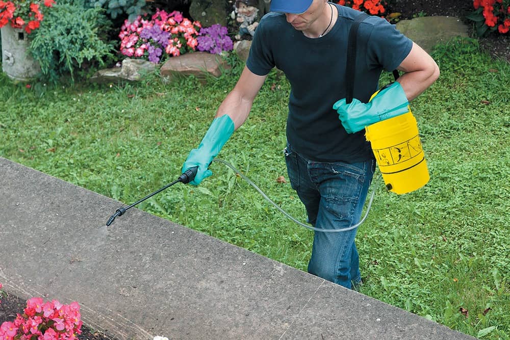 6L Inter™ Hand-Held Garden Sprayer - Image 5